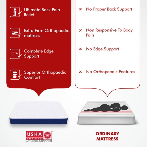 Back Master Biofoam Oragnic Bonded Foam Mattress - Usha Shriram