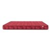 Classic Foam Queen Size Mattress (Mattress Thickness : 4 Inches, Mattress Dimensions : 78 x 60 in) - Urban Ladder