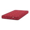 Classic Foam Single Size Mattress (Mattress Thickness : 4 Inches, Mattress Dimensions : 78 x 36 in) - Urban Ladder