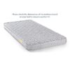 Essential Foam Single Size Mattress (Mattress Thickness : 4 Inches, Mattress Dimensions : 78 x 36 in) - Urban Ladder