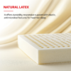 KURLON OrthoMagic Essential |Orthopedic Hybrid mattress with Latex, Coir & HR Foam | 6 inch Double Latex Foam Mattress (L x W: 75 inch x 48 inch) -...