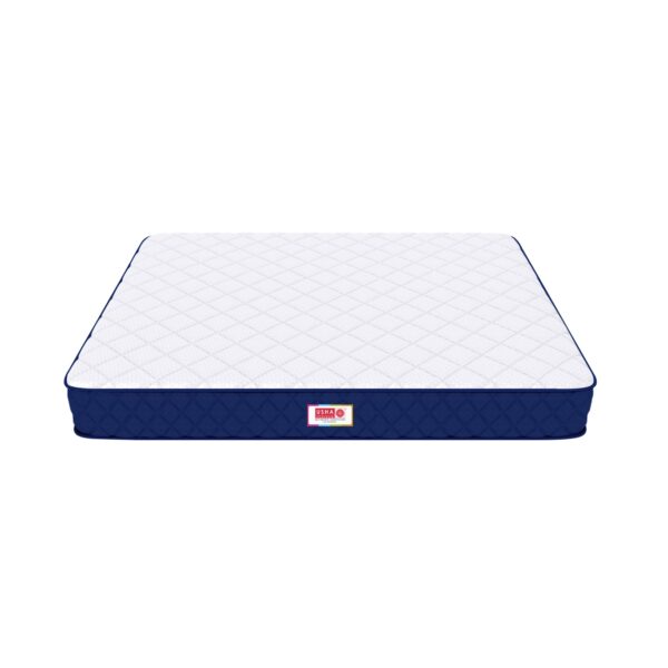 Usha Shriram Spine Master Biofoam Oraganic 5 Inch Bonded Foam Mattress L :75 - Usha Shriram